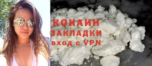 спиды Богородицк
