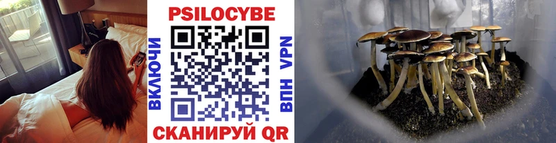 MEGA вход Светогорск Псилоцибиновые грибы Psilocybe